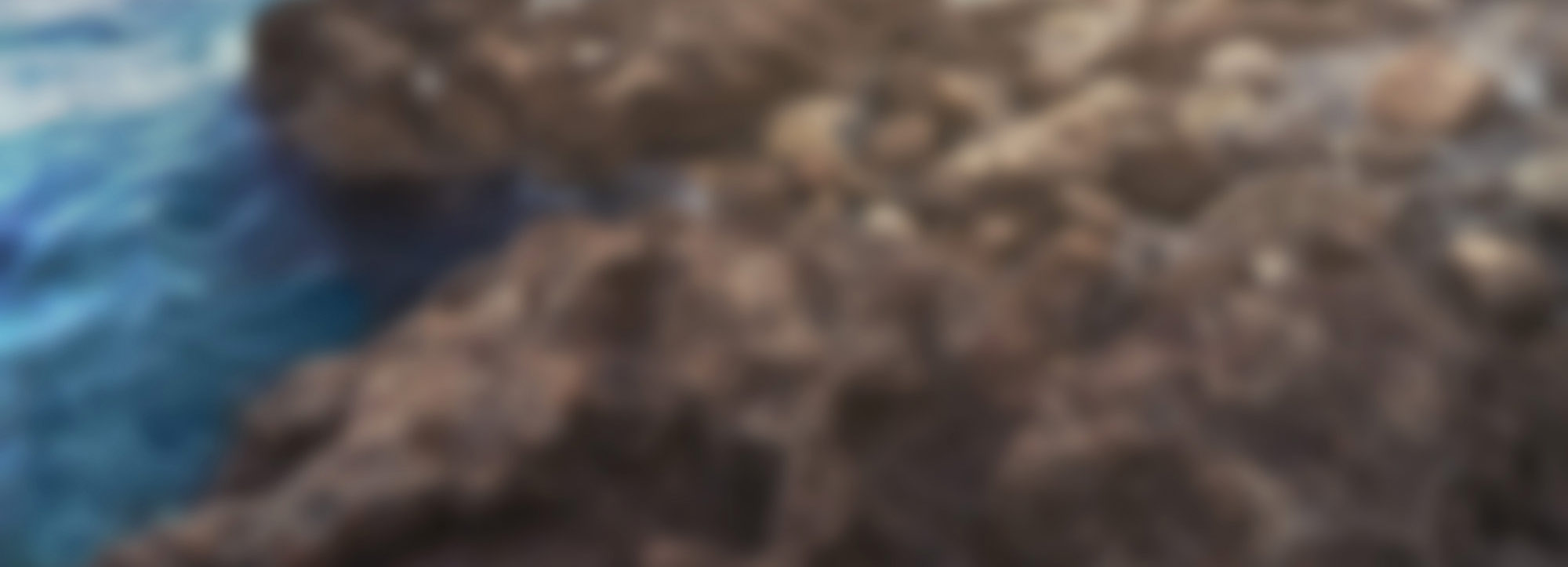 Fond de header